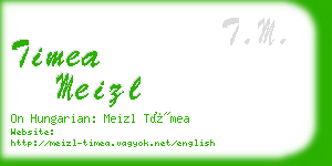 timea meizl business card